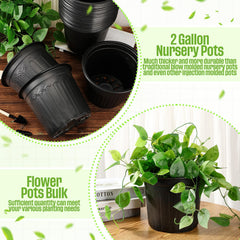 Ziliny pots arranged on greenhouse bench improving propagation workflow