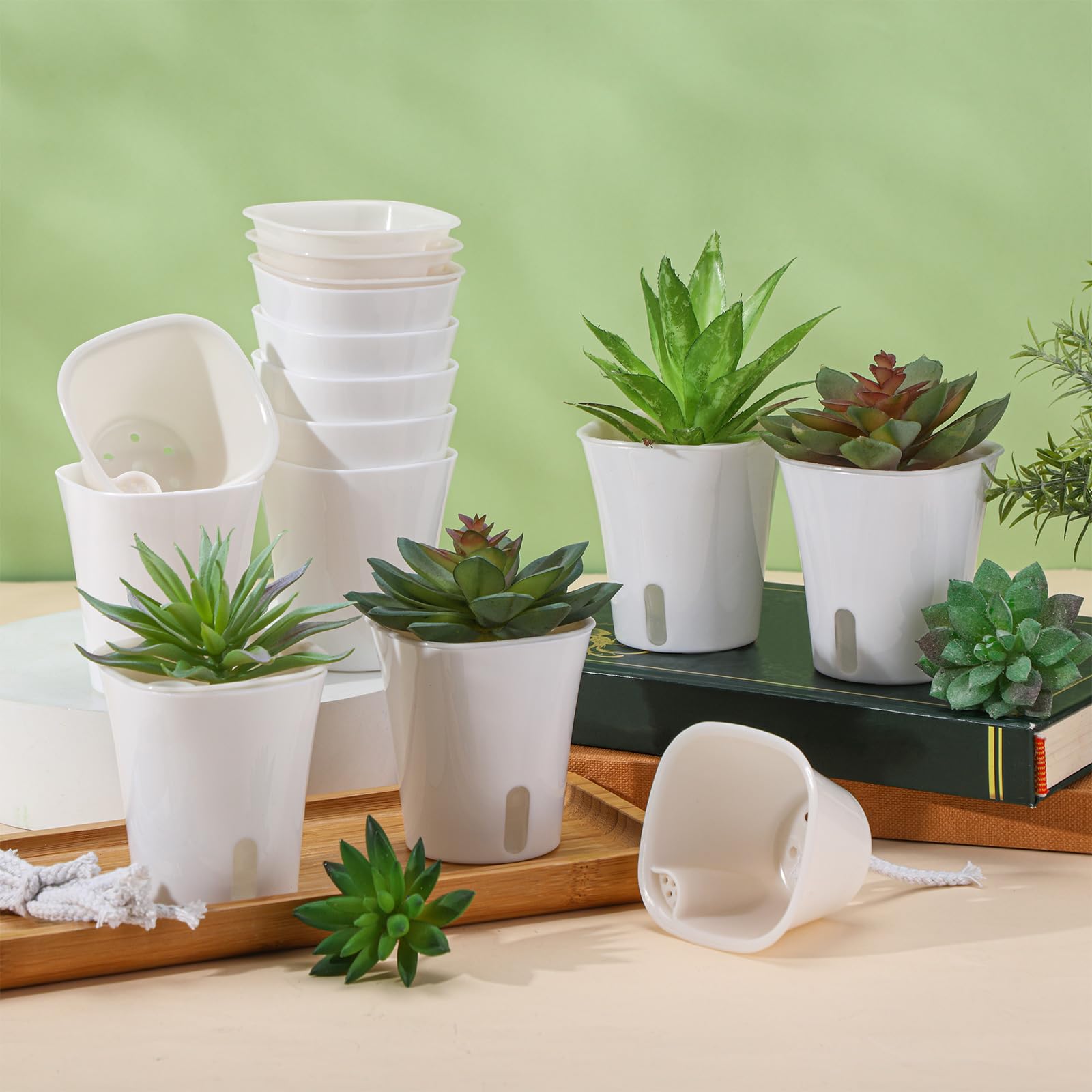 Ziliny pot held in hand to show scale and small-space suitability