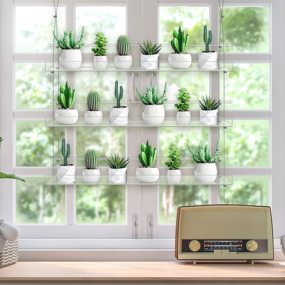 Ziliny scale comparison with common pots demonstrates compact footprint and capacity