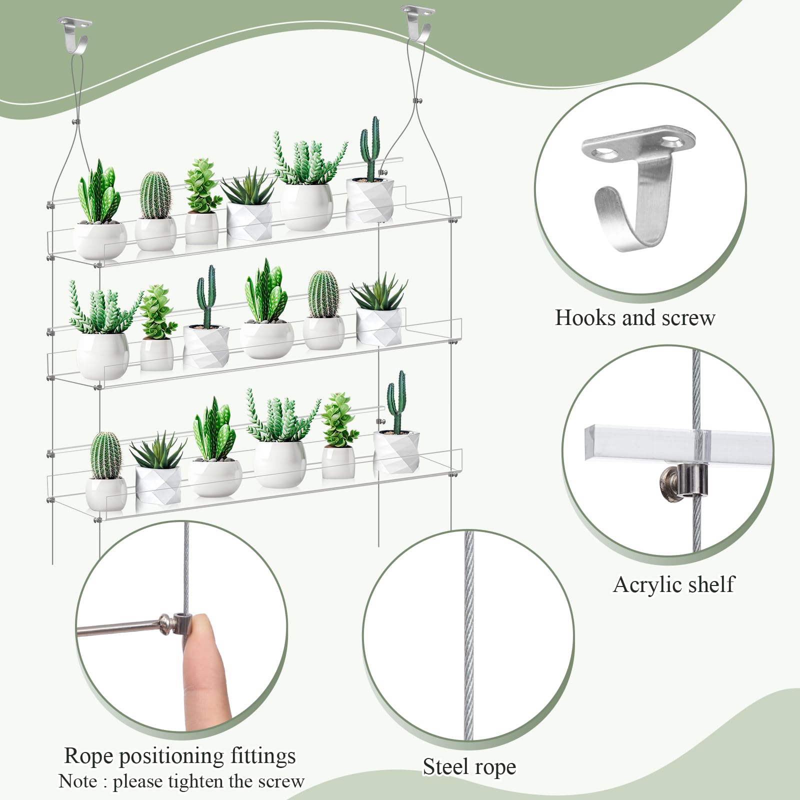 Ziliny shelves in use window display showing organized succulents and herbs thriving
