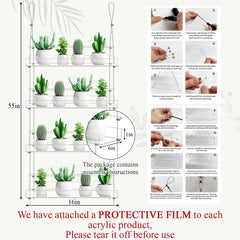Ziliny shelves in use with succulents showing organized sunlight exposure