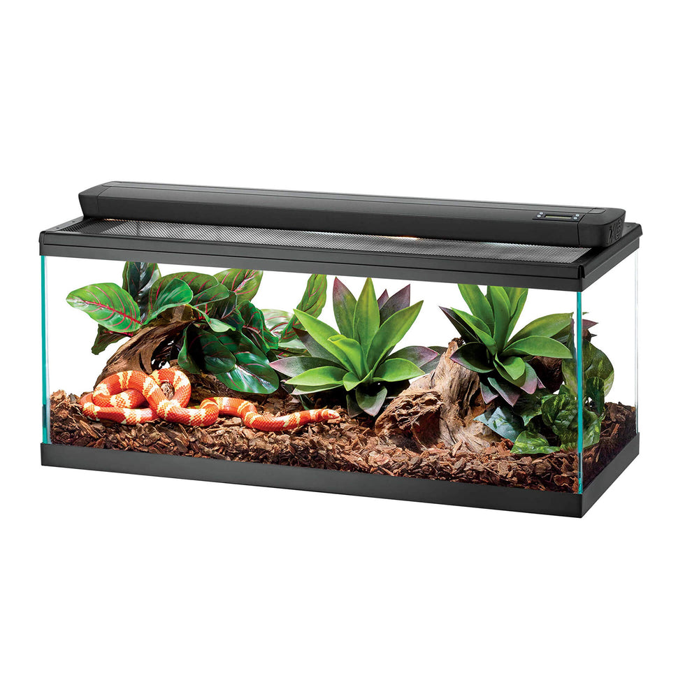 Zilla Pro Sol mounted on terrarium creating organized top-mounted lighting and heat