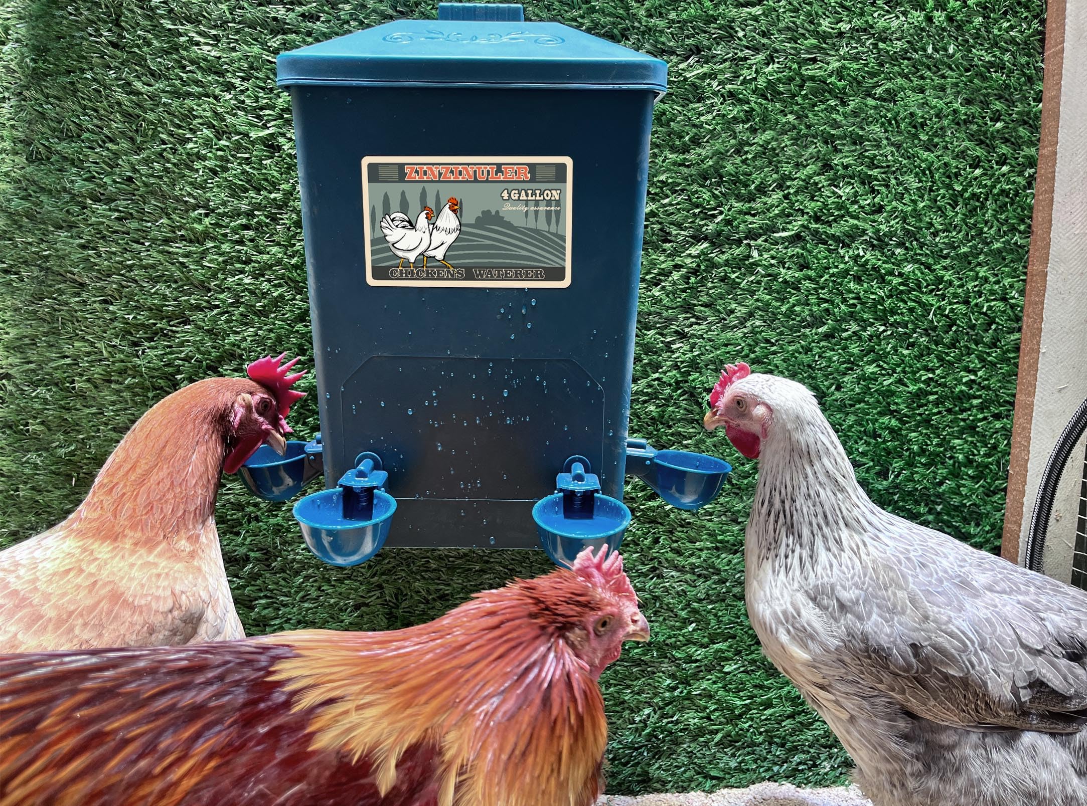 ZINZINULER placed inside a coop with chickens showing practical in-use benefit