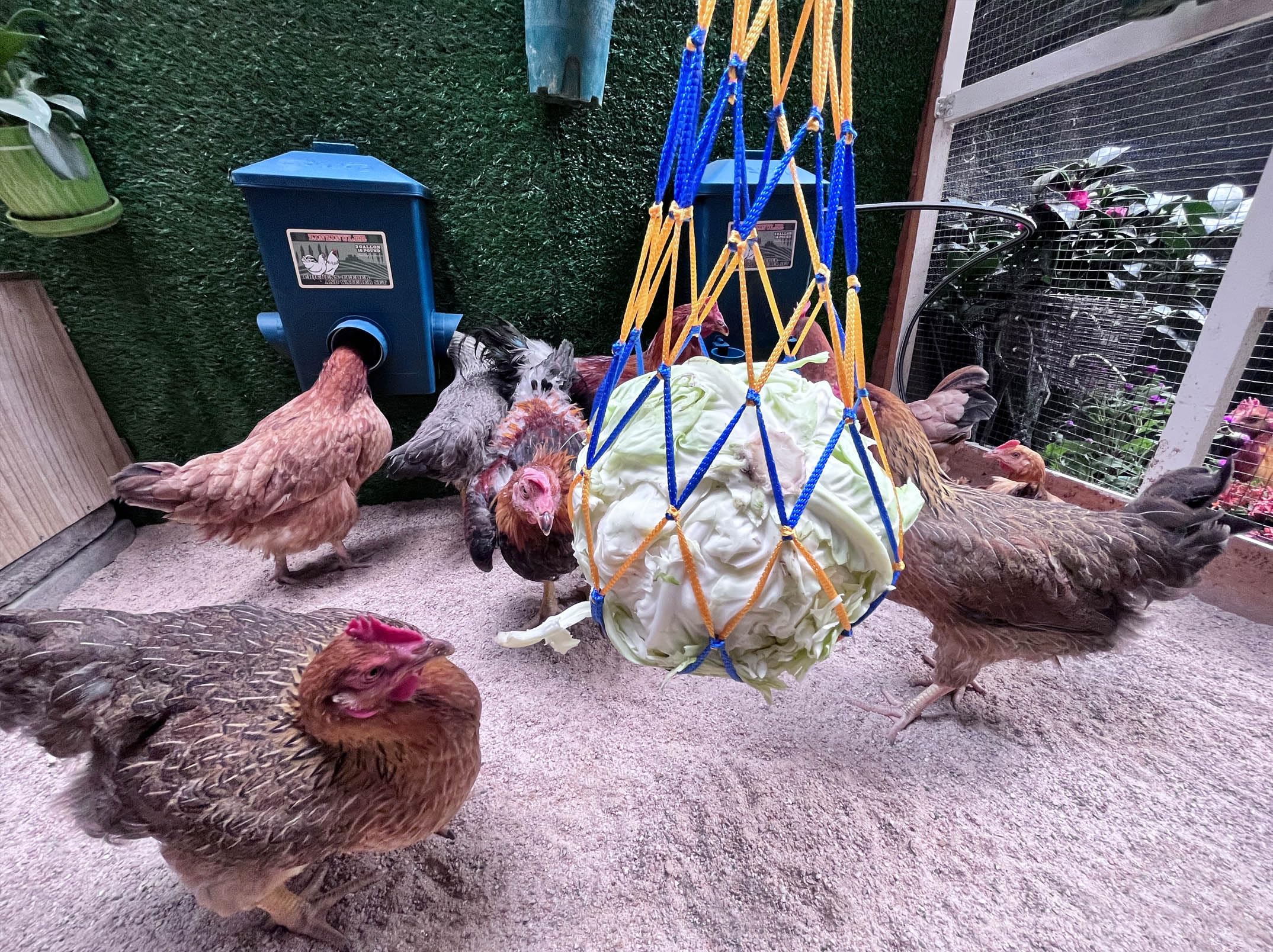 ZINZINULER size comparison with a standard bucket showing 4-gallon capacity