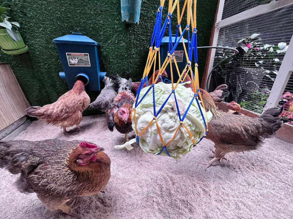 ZINZINULER size comparison with a standard bucket showing 4-gallon capacity