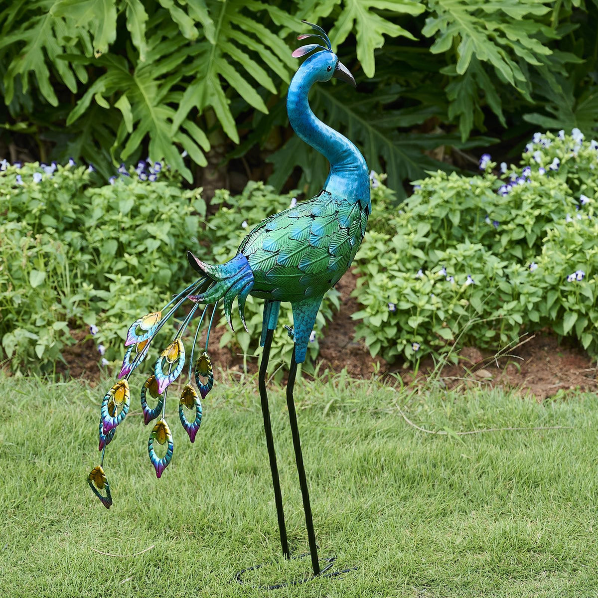ZioWio peacock front view showing colorful finish and curb appeal