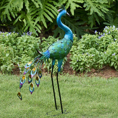 ZioWio peacock front view showing colorful finish and curb appeal