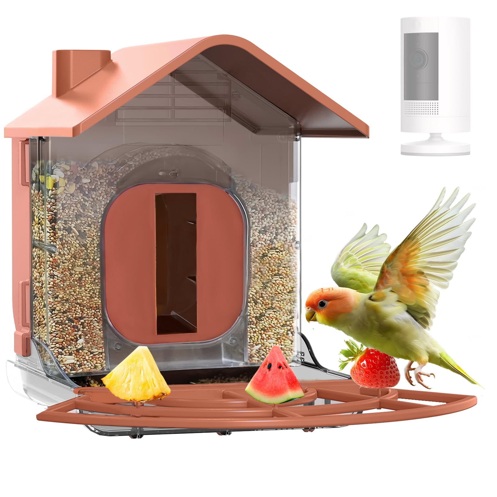 Zivif front view showing camera window and clear bird visibility benefit