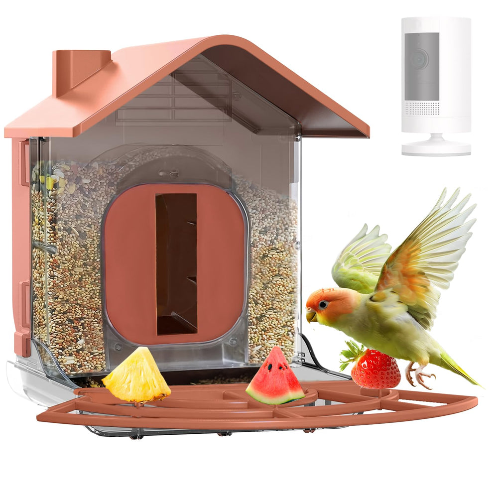 Zivif front view showing camera window and clear bird visibility benefit