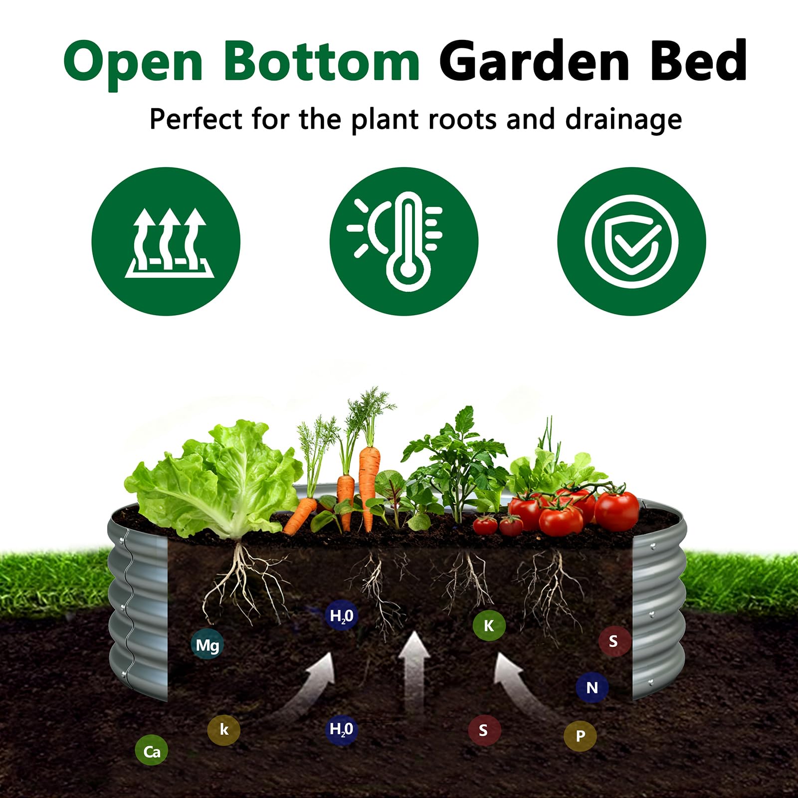 zizin in use with vegetables planted demonstrating deep soil capacity and drainage