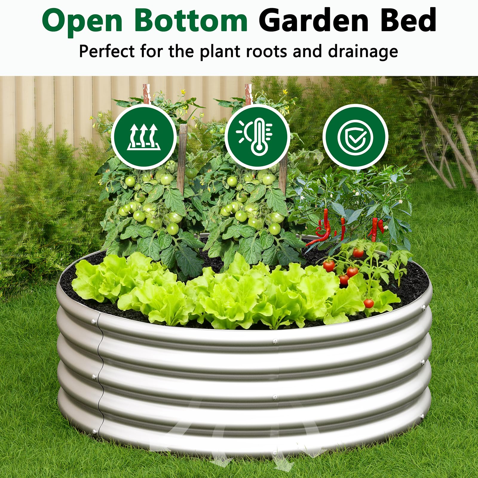 zizin scale comparison with person for size perspective and usable planting space