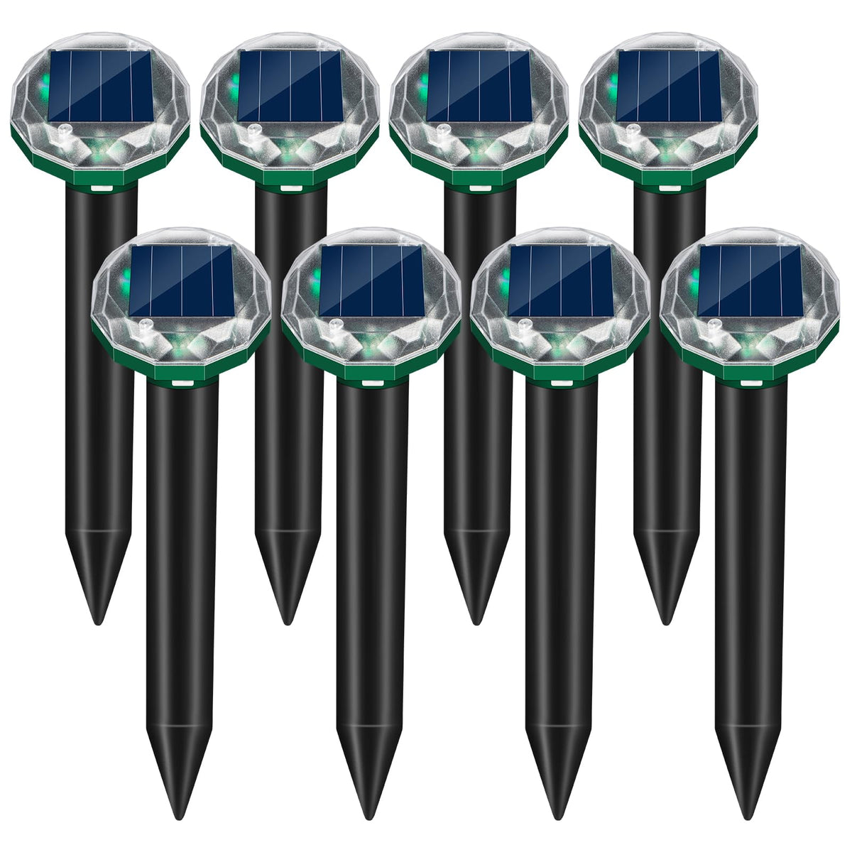 ZLieatmp front view of eight stakes showing full yard coverage and deterrent benefit