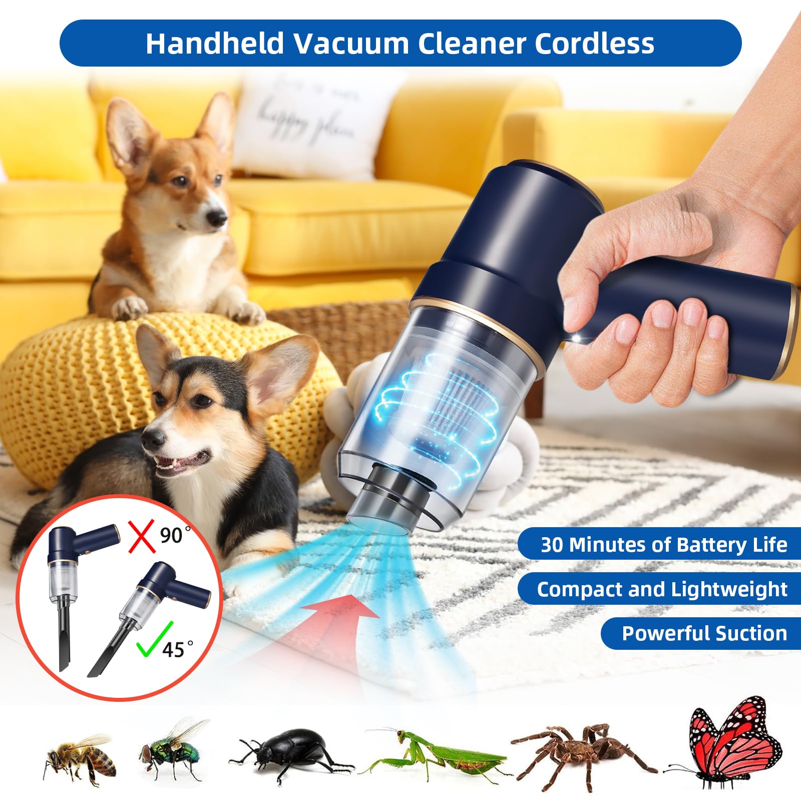 ZLieatmp used on a patio catching insects for outdoor pest control