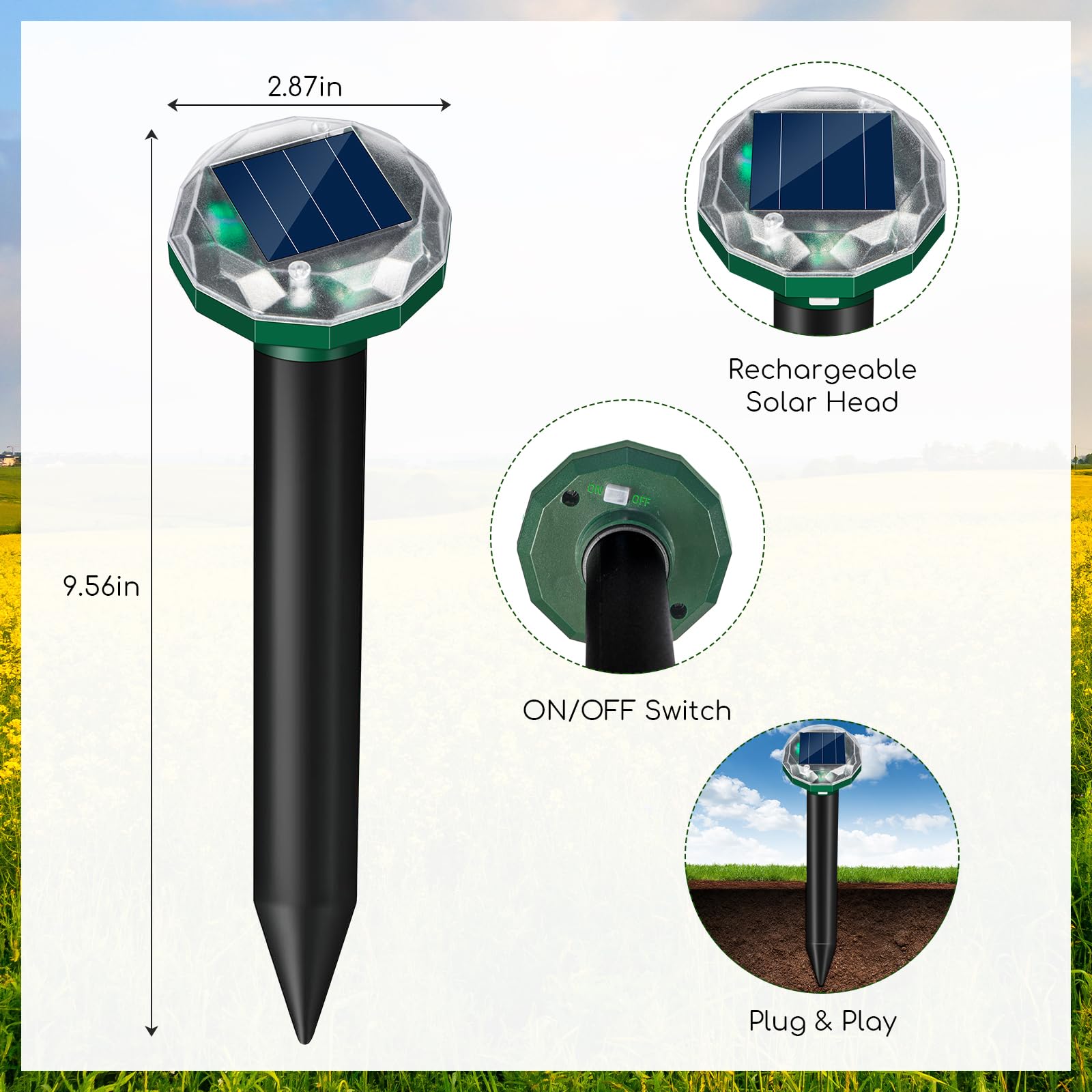ZLieatmp stake at dusk with soft glow indicating nighttime operation and monitoring