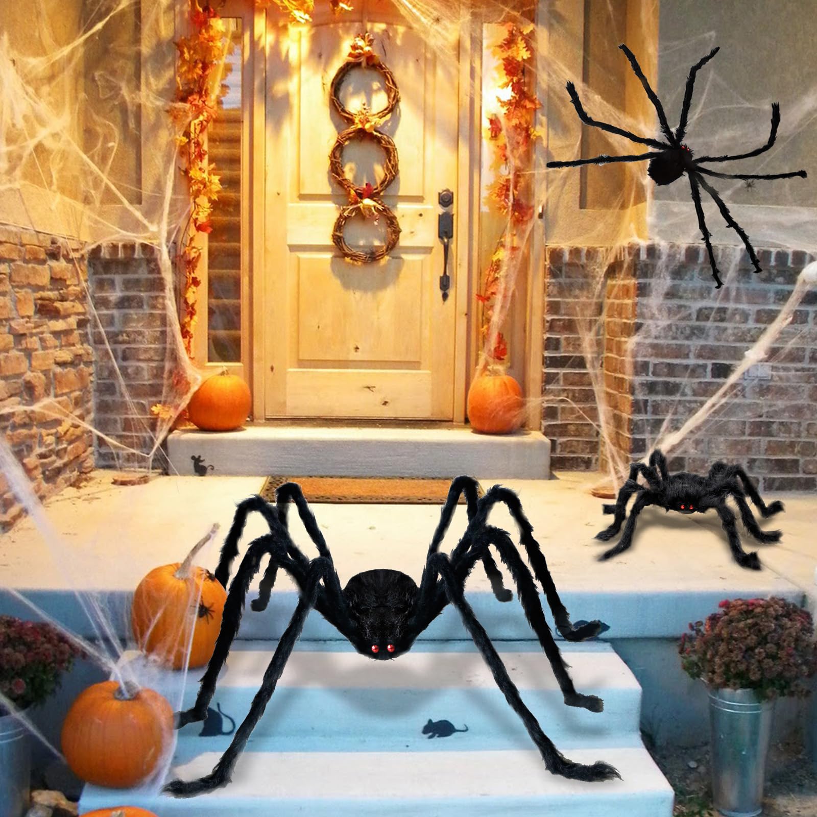 ZMCINER spider sizes side-by-side illustrating scale and placement