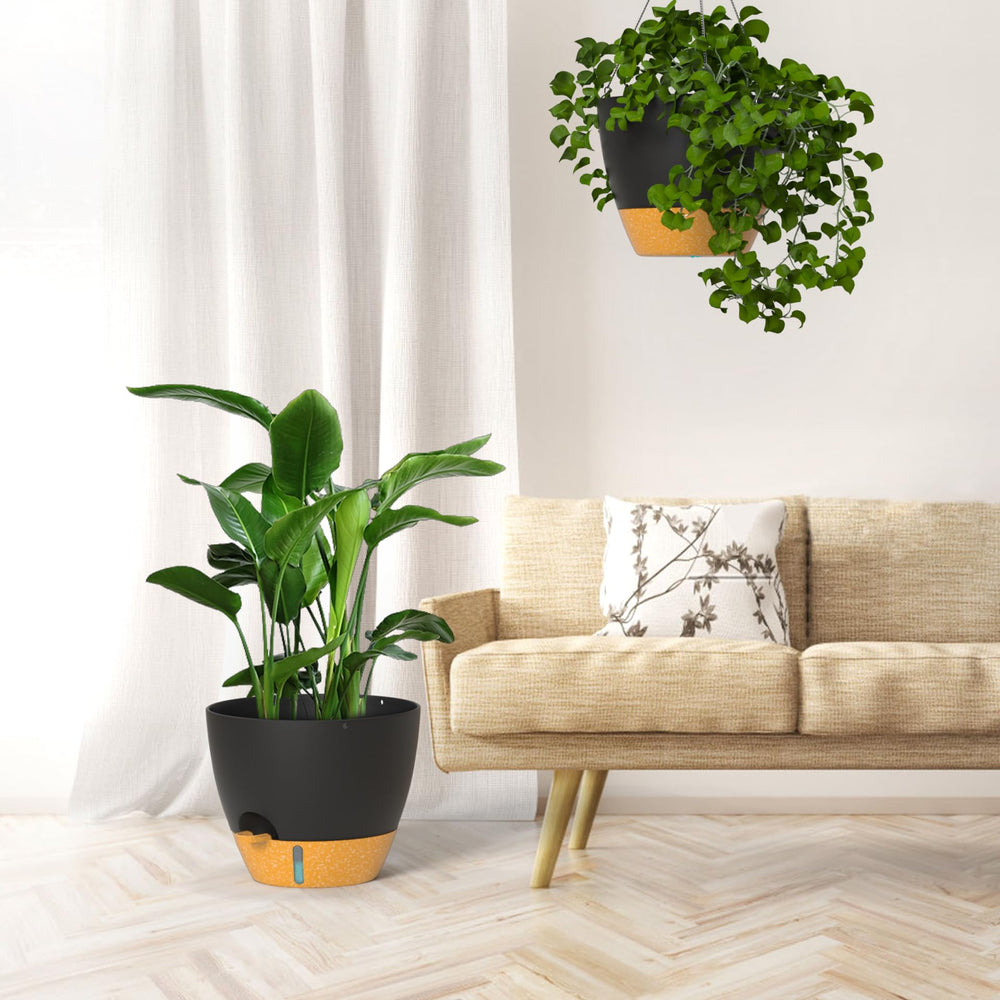 ZMTECH two-pack styled indoors showing coordinated hanging plant arrangement