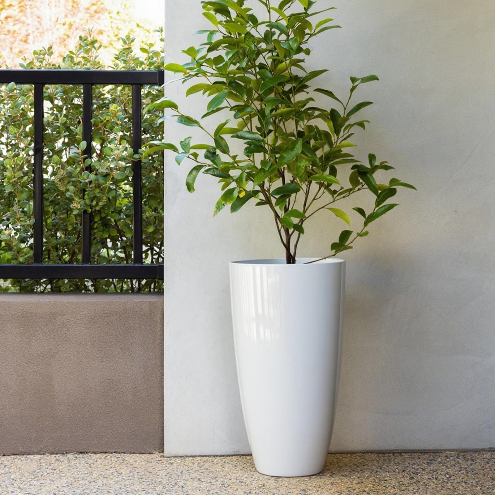 ZMTECH styled on porch with plants to highlight outdoor decoration use