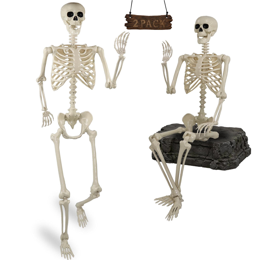 Znorso front view of two skeletons showing full-size realistic bones for striking displays