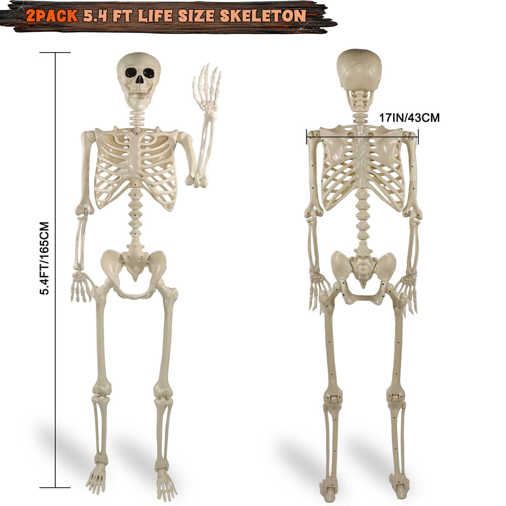 Znorso skeleton joint detail showing movable connections for customizable posing