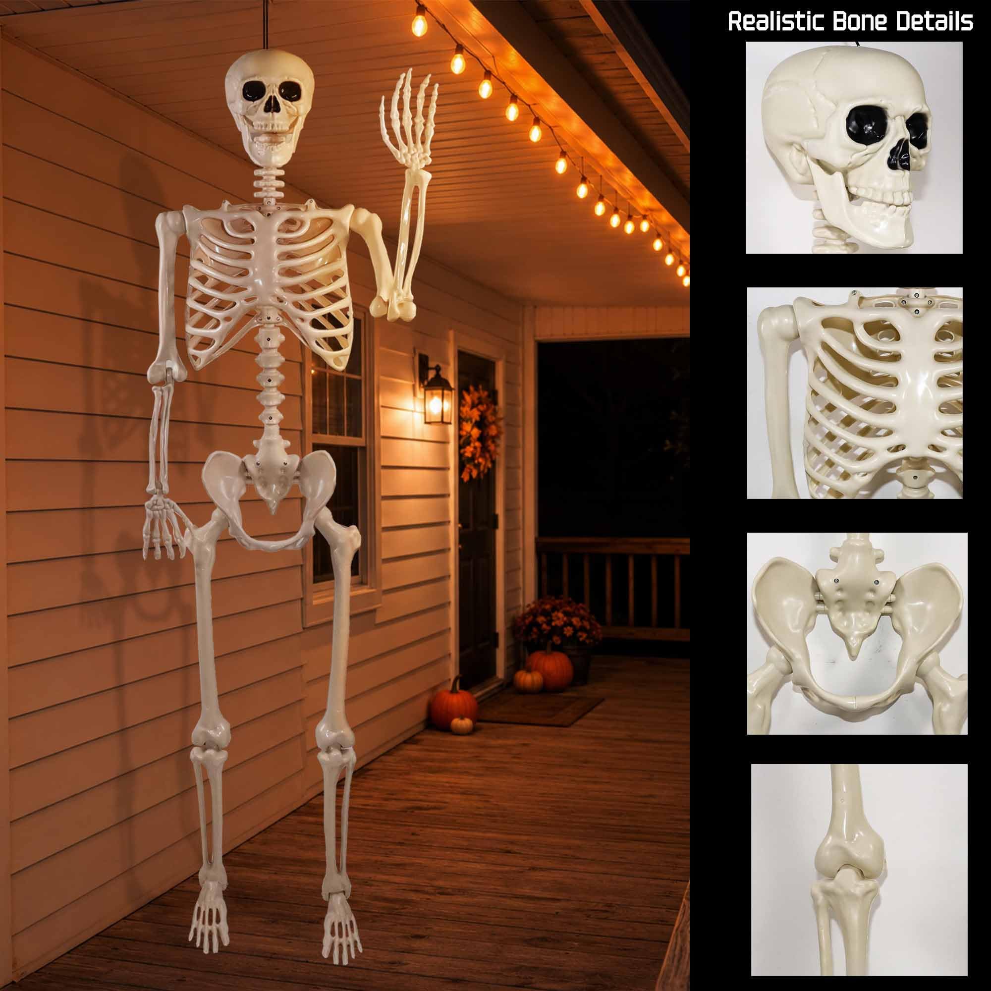 Znorso close-up of bone texture highlighting durable realistic detail