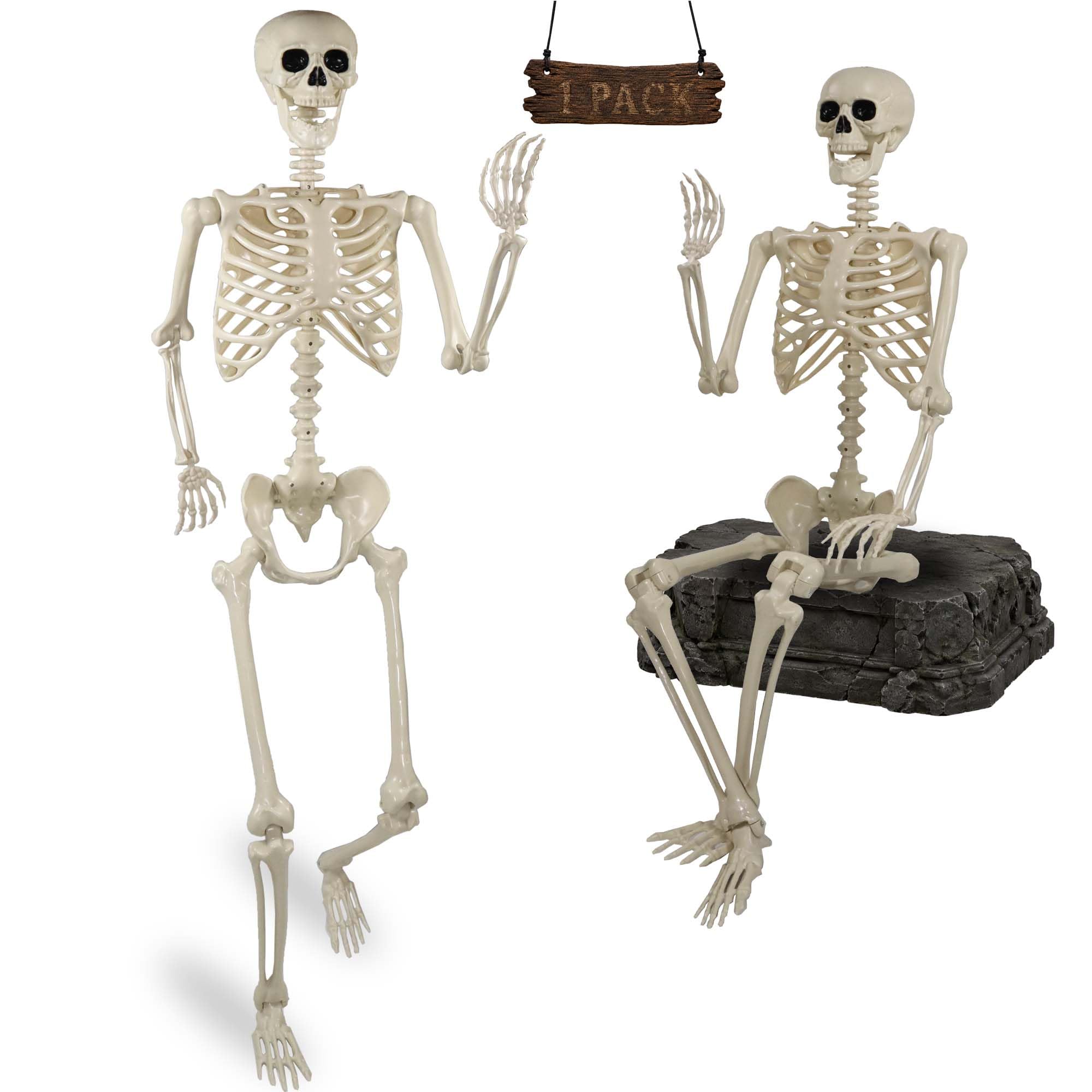 Znorso skeleton front view showing full body realism and spooky presence
