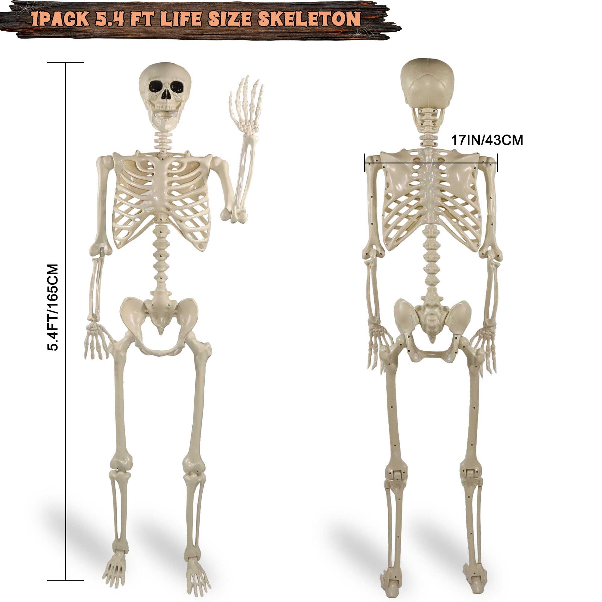 Znorso skeleton hanging from porch rope showing easy outdoor display