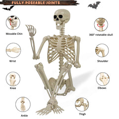 Znorso skeleton posed seated demonstrating movable joints and stability
