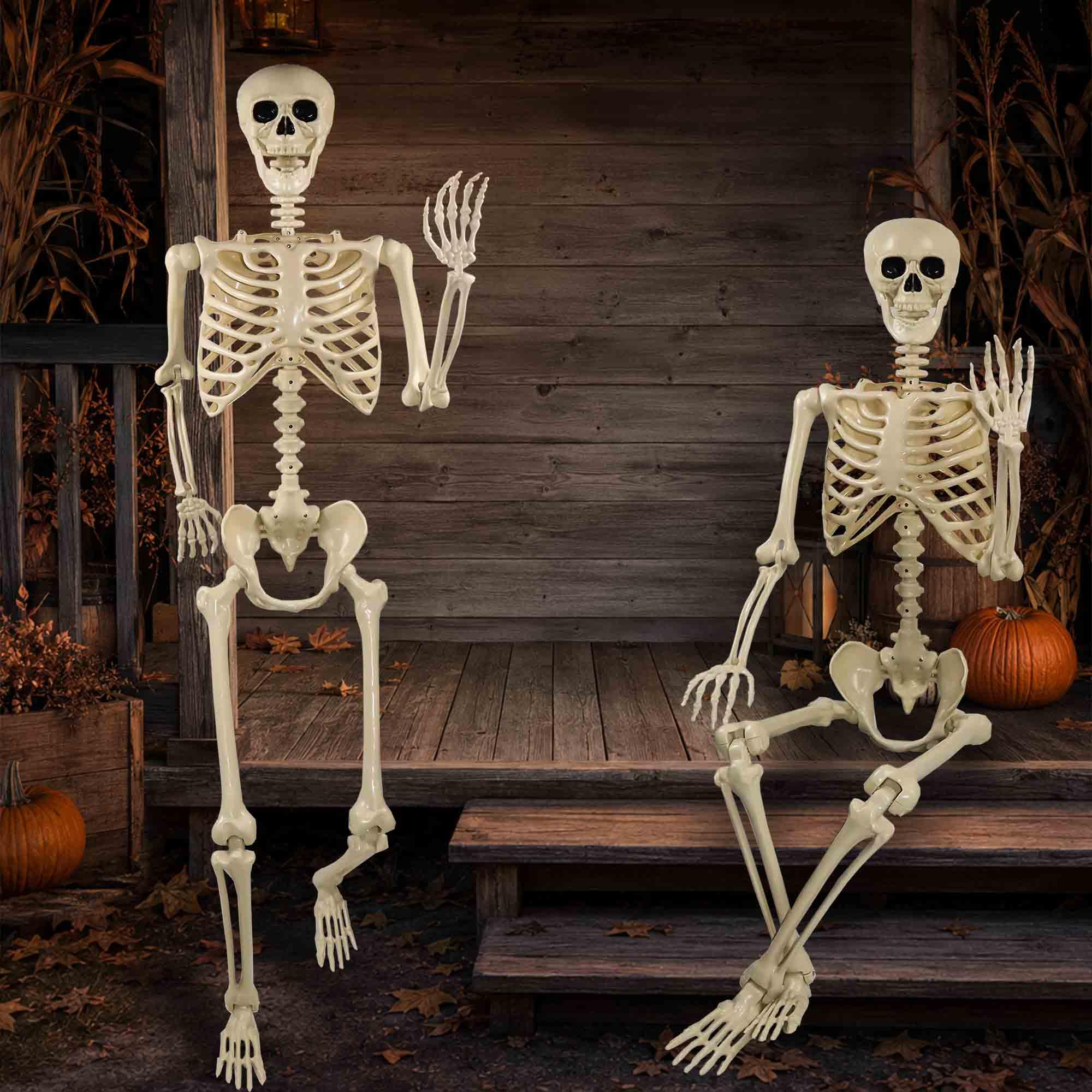 Znorso skeleton dressed in costume to show customization options