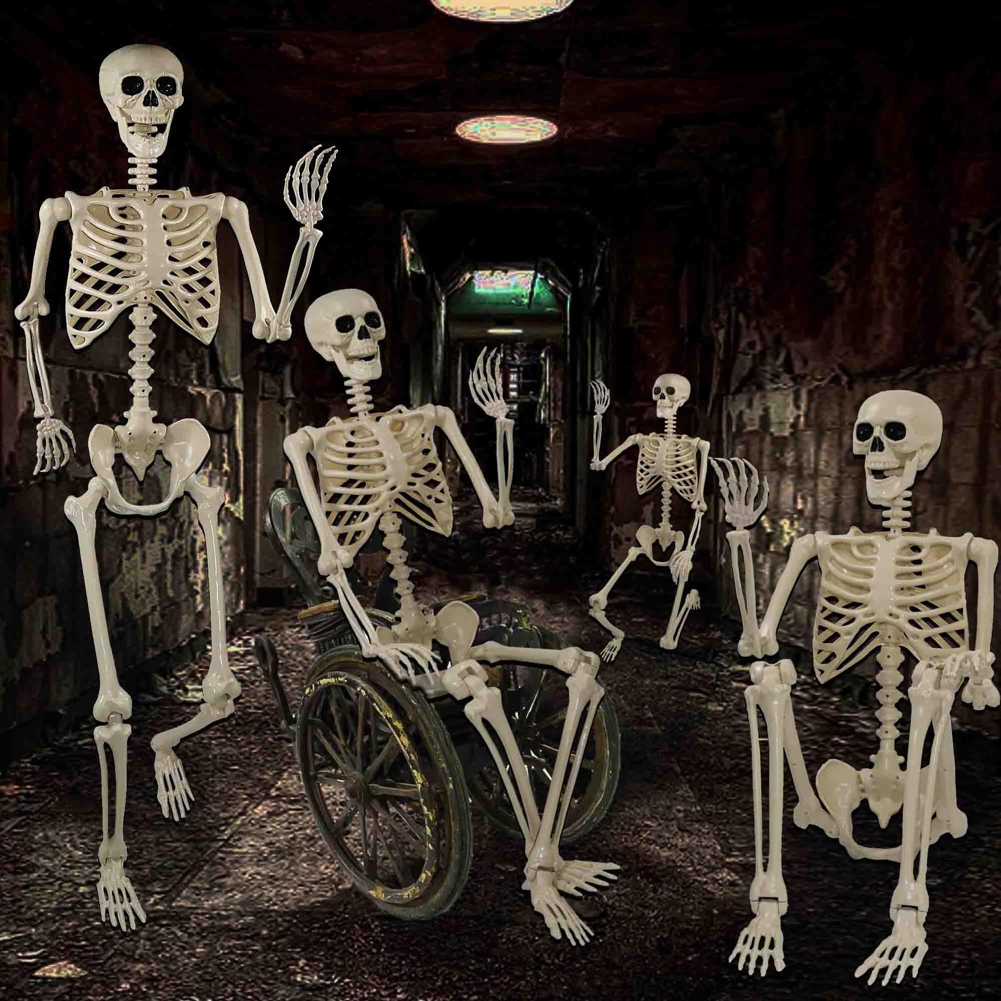 Znorso skeleton in yard at night with lighting for dramatic effect
