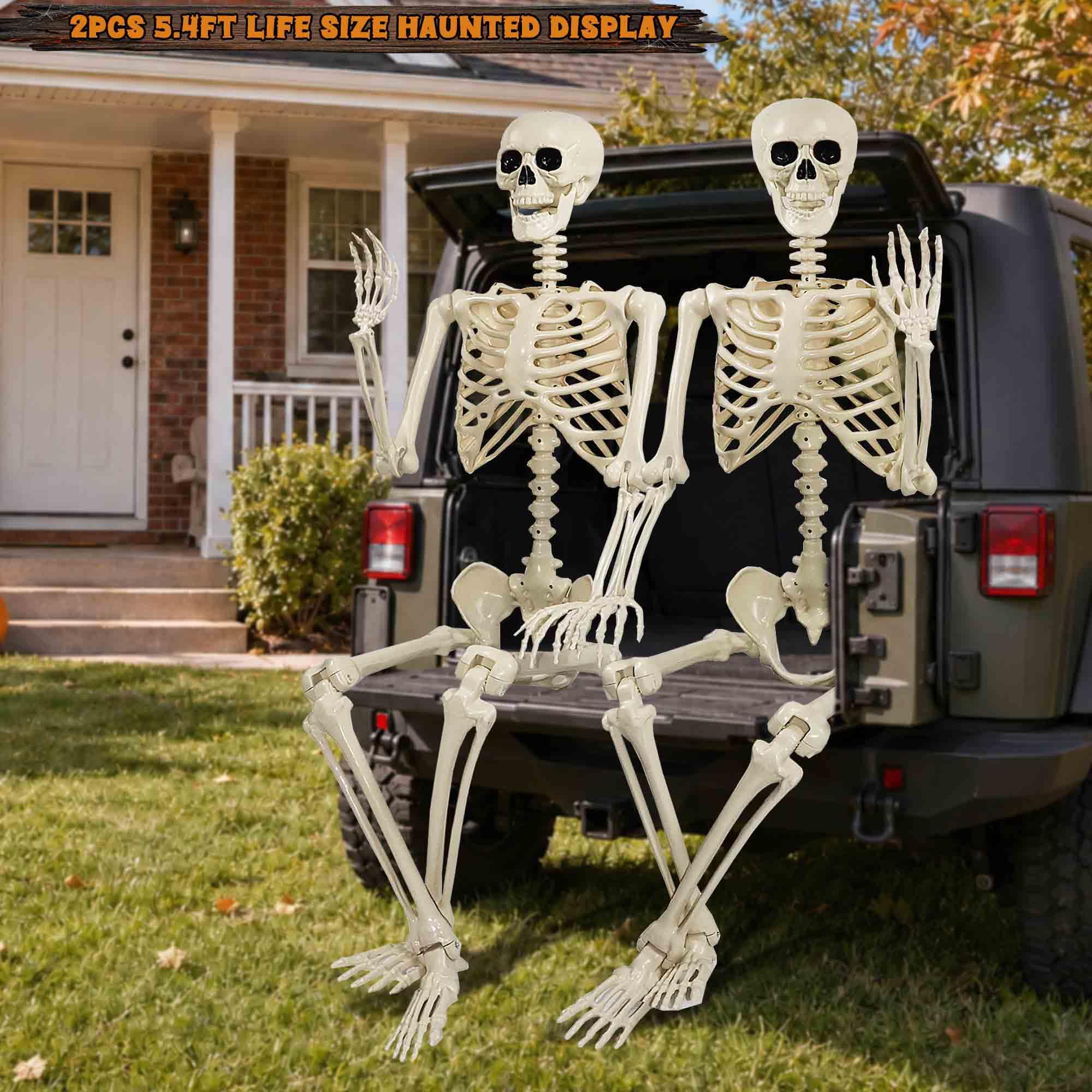 Znorso skeleton dressed with costume and wig showing customizable decor potential