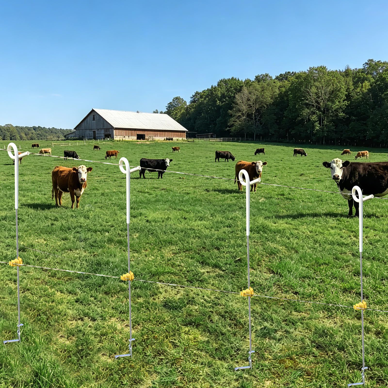 Zoiut box of 30 stakes packed for easy transport