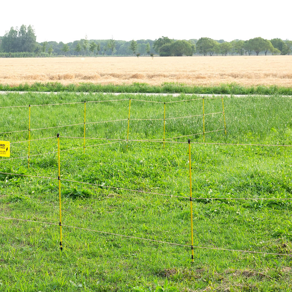 Zoiut posts installed around pasture demonstrating easy seasonal fencing