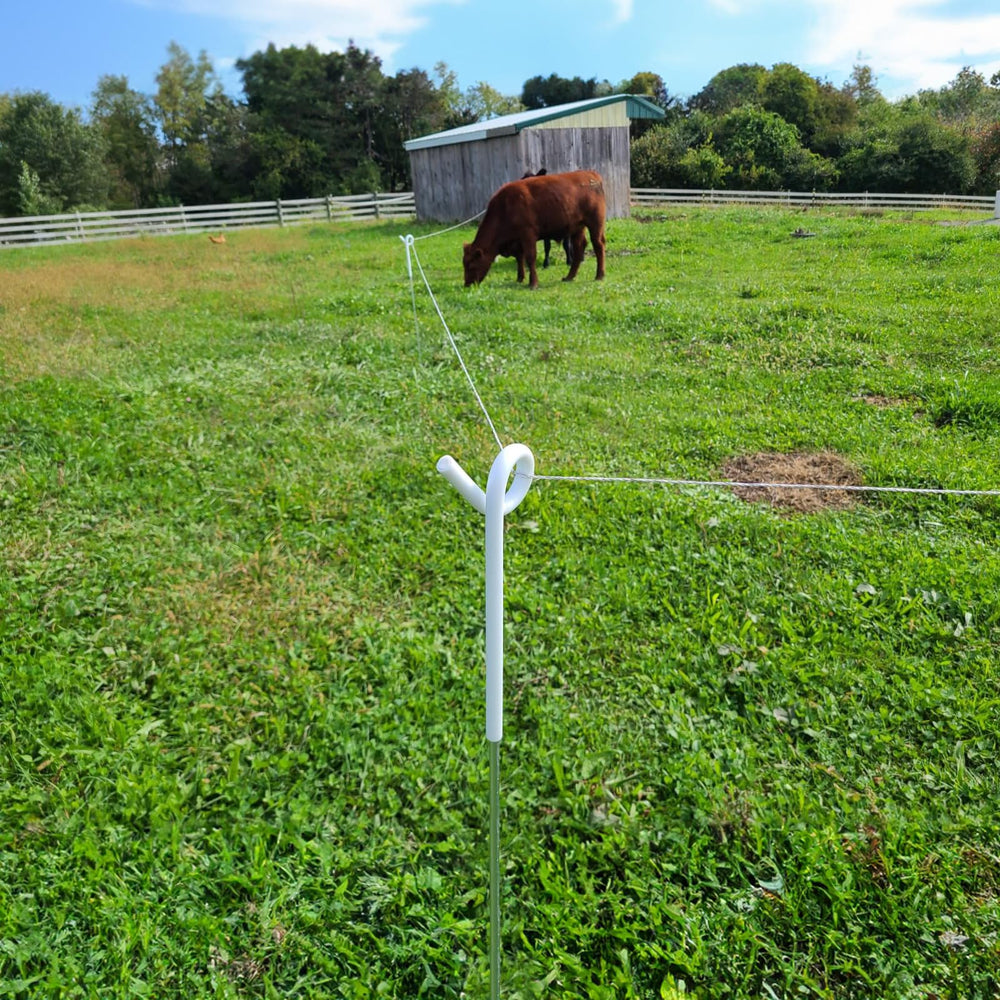 Zoiut fence in pasture containing livestock safely