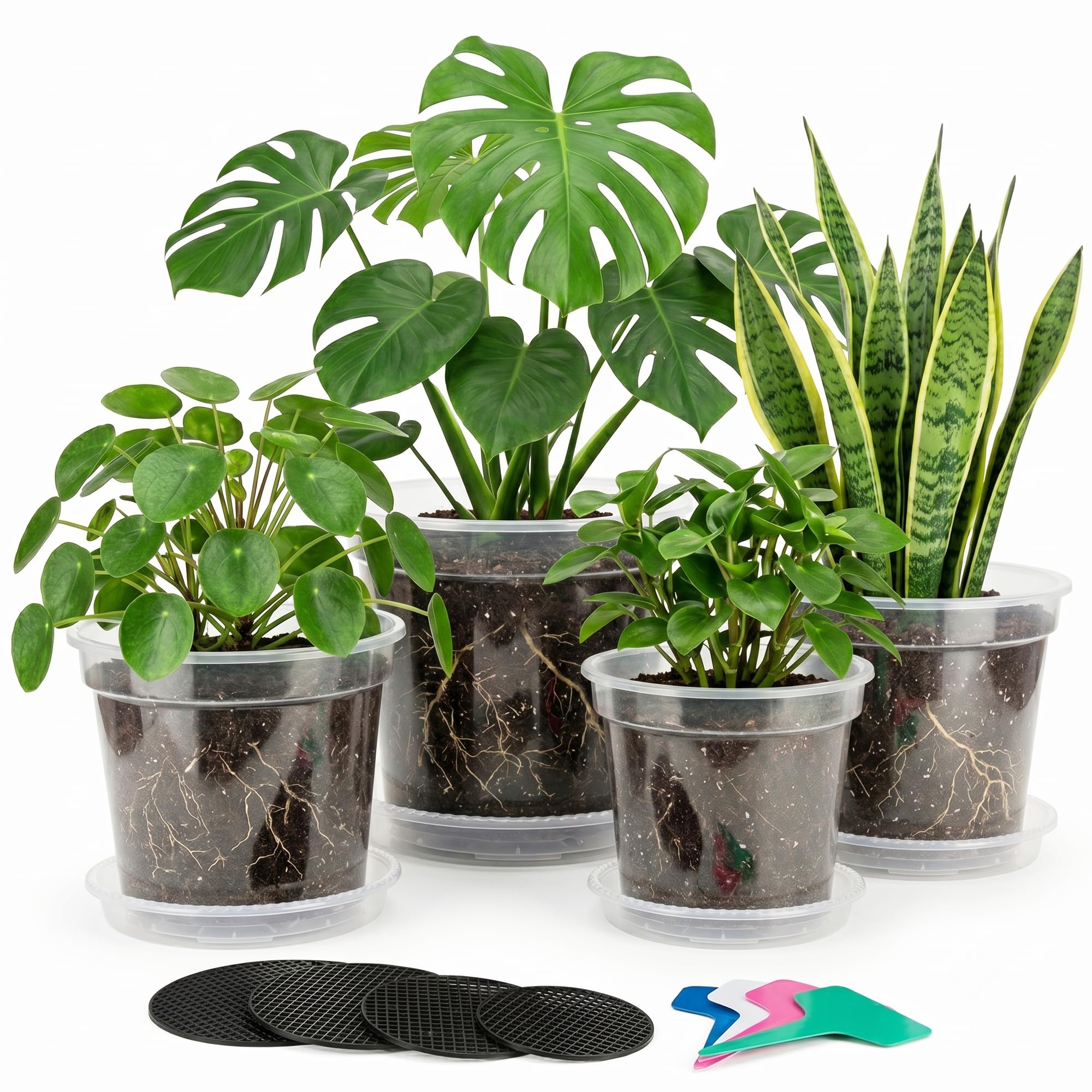 Zonara clear pot front view showing transparent walls and sturdy rim for visibility benefit