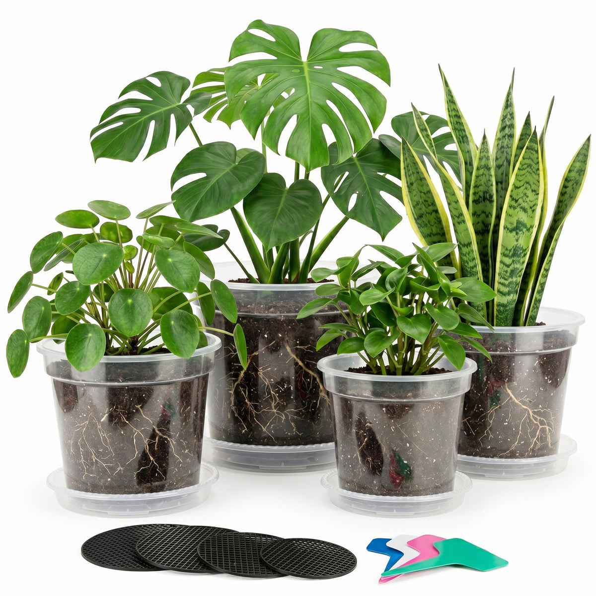 Zonara clear pot front view showing transparent walls and sturdy rim for visibility benefit