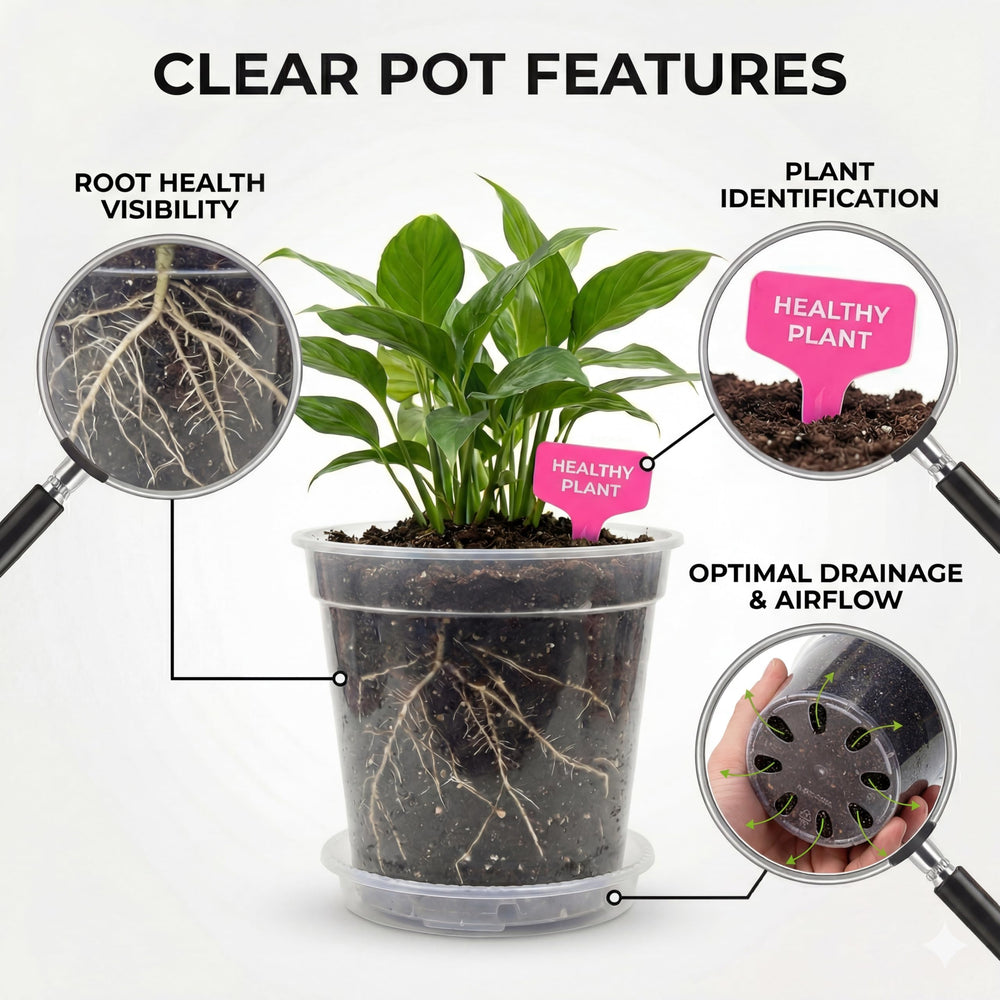 Zonara saucer with mesh pad overhead showing soil retention and neat watering benefit