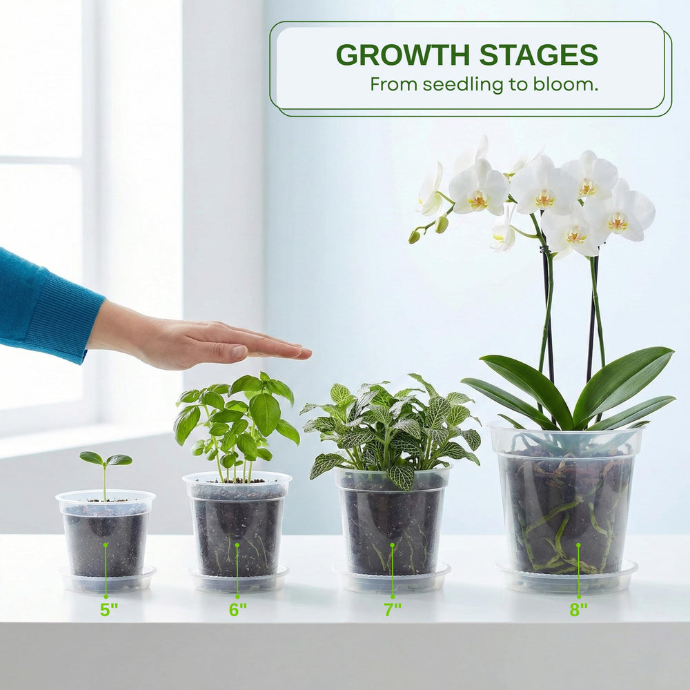 Zonara close-up of visible root development highlighting easy monitoring benefit