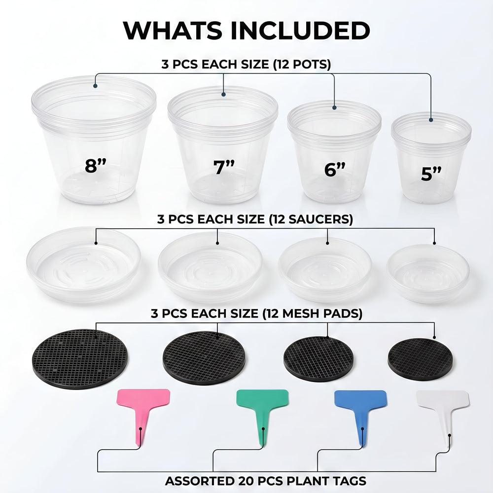 Zonara lineup of 5 6 7 8 inch pots showing scale for correct sizing benefit