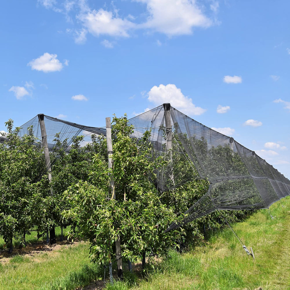 Zonon mesh beside ruler showing scale and large 9.84 x 98.43 ft coverage