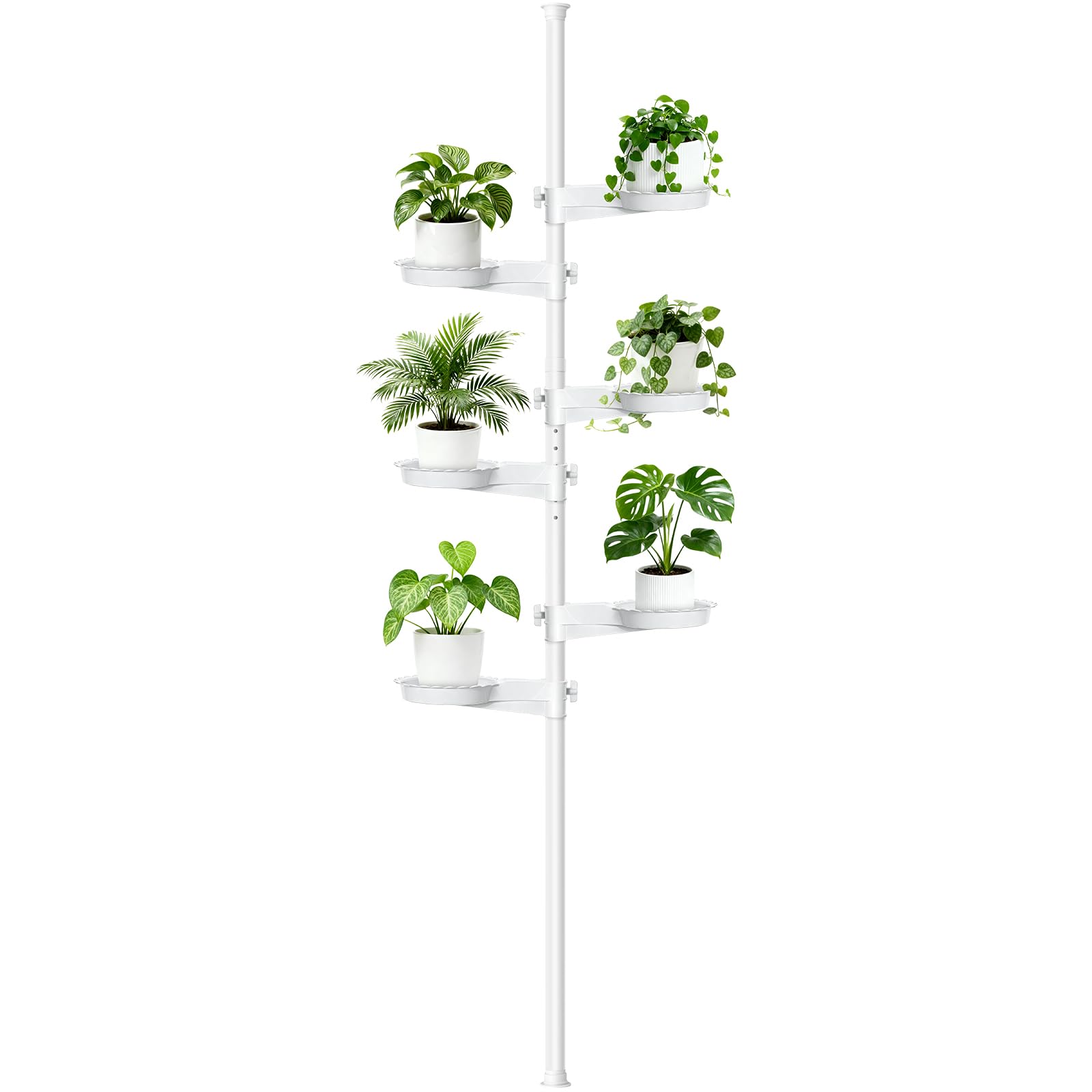 Zononoca front view of white 6-tier tension plant pole, maximizes vertical space