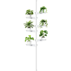 Zononoca front view of white 6-tier tension plant pole, maximizes vertical space