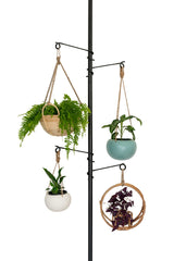 Zononoca close-up of adjustable hooks and clamp mechanism, highlights secure plant positioning