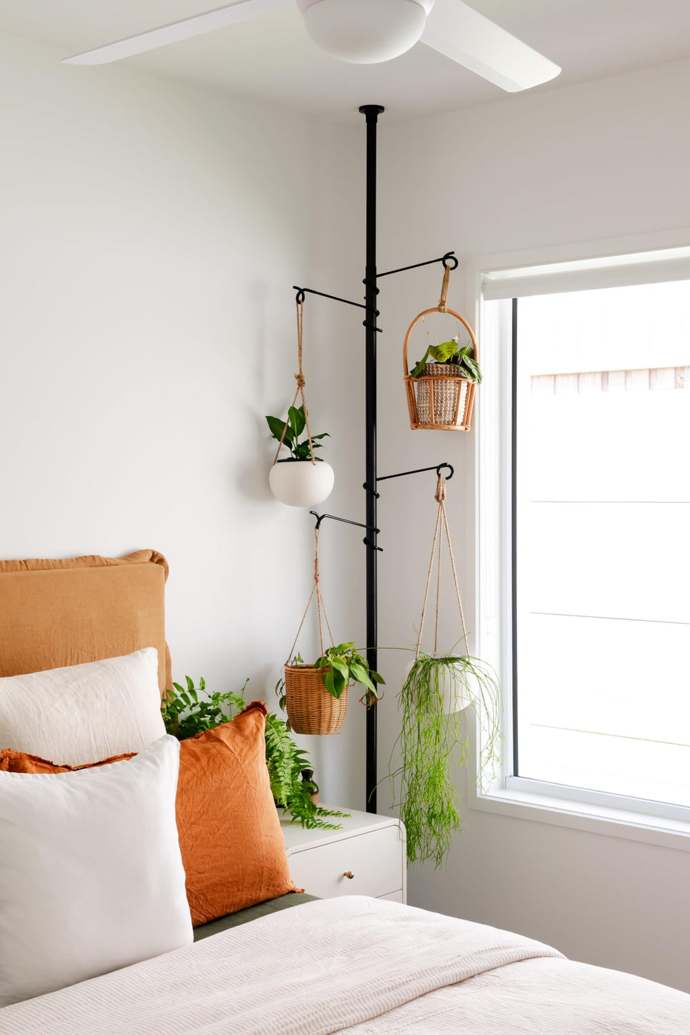 Zononoca installed in a living-room corner with hanging plants, creates a lush space-saving display