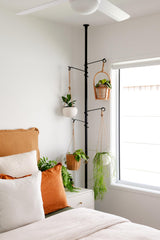 Zononoca installed in a living-room corner with hanging plants, creates a lush space-saving display