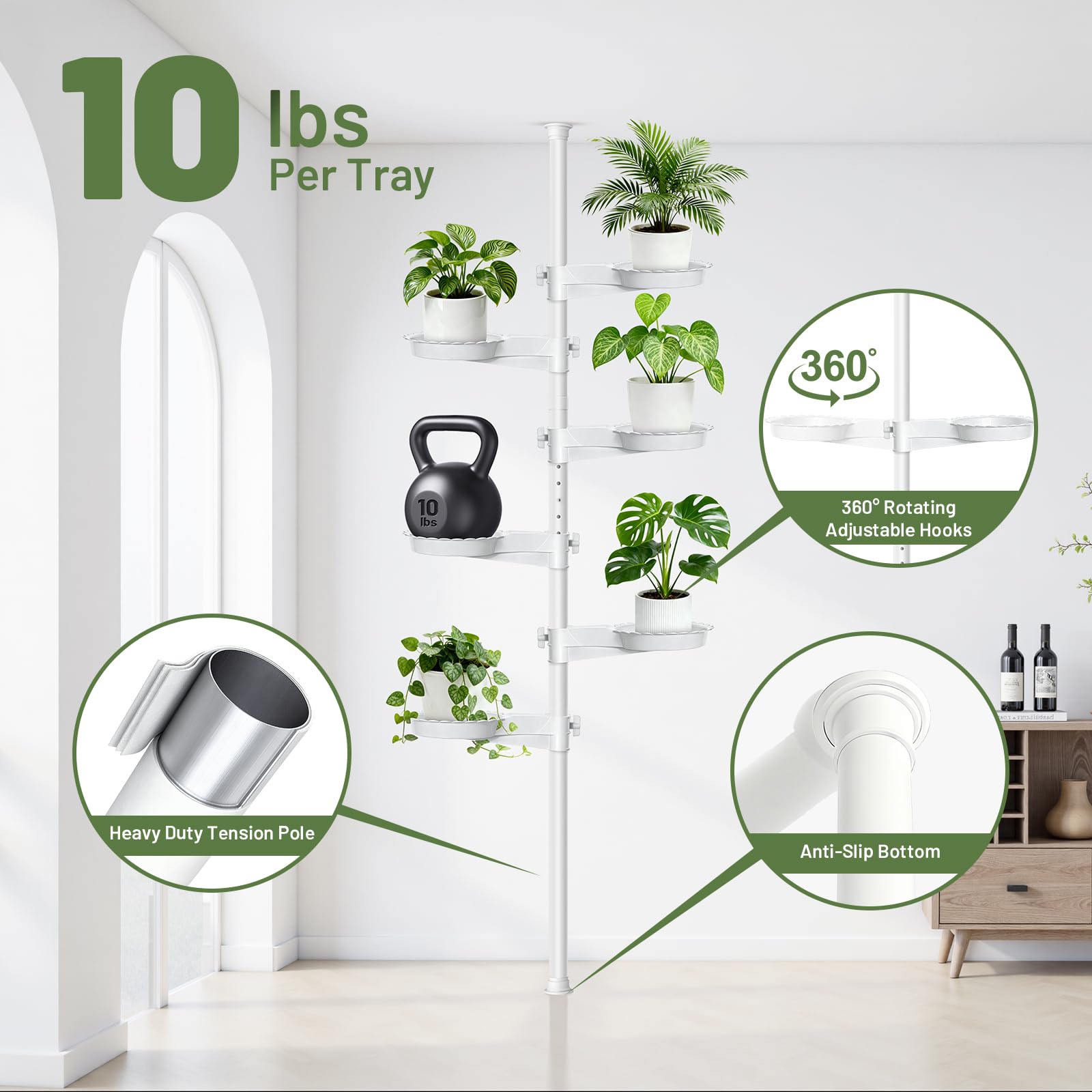 Zononoca plant stand beside kitchen window adding fresh décor and saving floor space