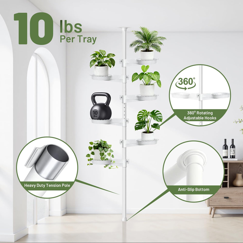 Zononoca plant stand beside kitchen window adding fresh décor and saving floor space