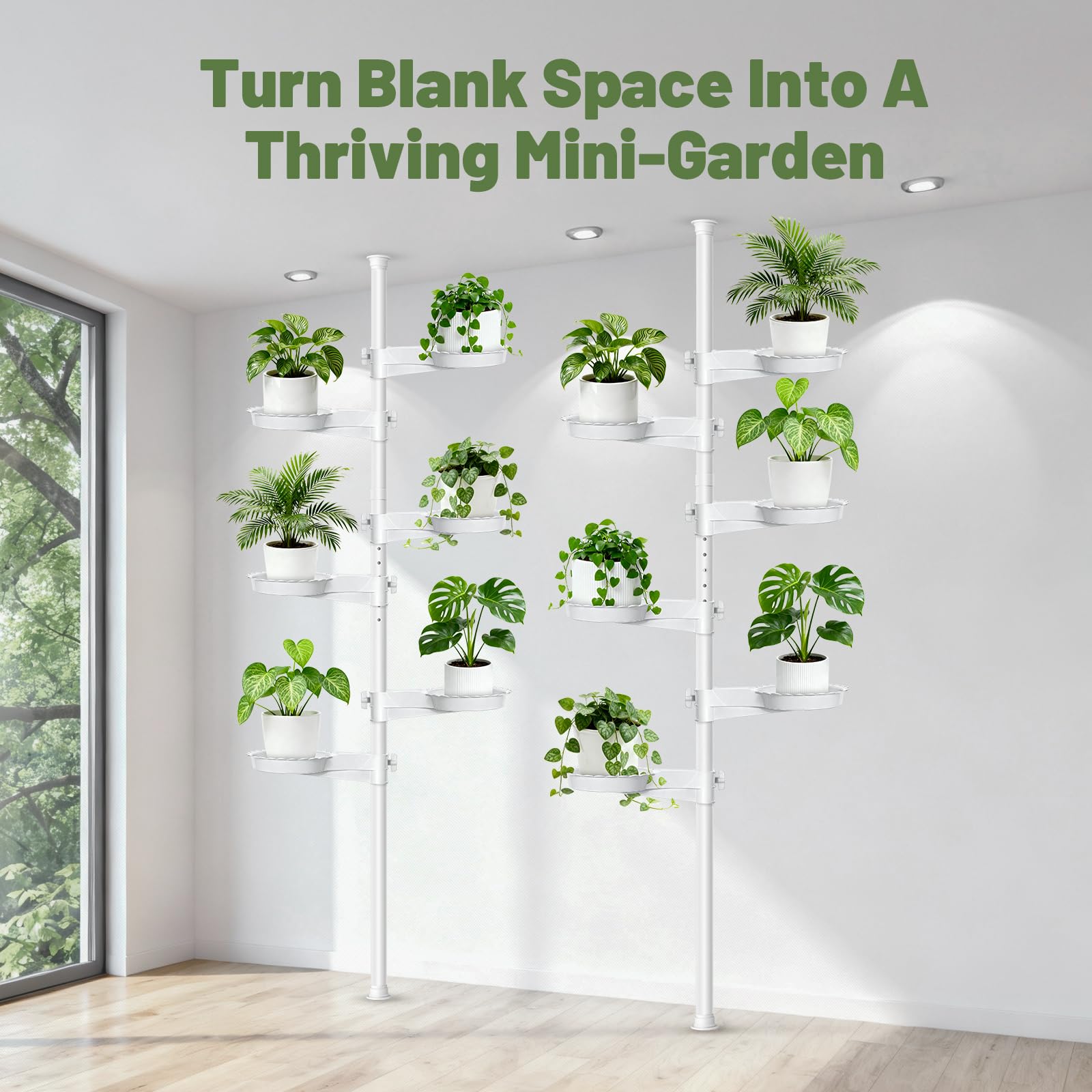 Zononoca tray rotated 360 degrees to position plants for even light