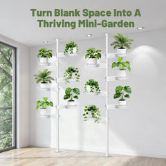 Zononoca tray rotated 360 degrees to position plants for even light
