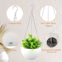 Zopeal image of removable drain plug and reservoir preventing overwatering benefits