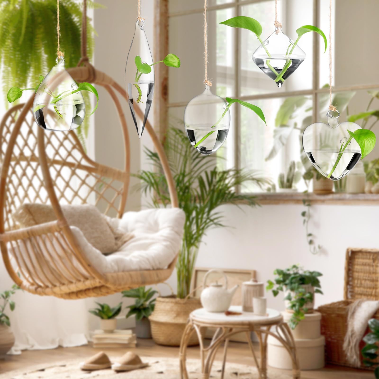 Zopeal hanging terrarium display at event creating stylish botanical ambience